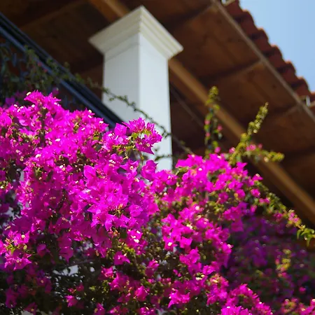 Apartment Marialice Dassia (Corfu)