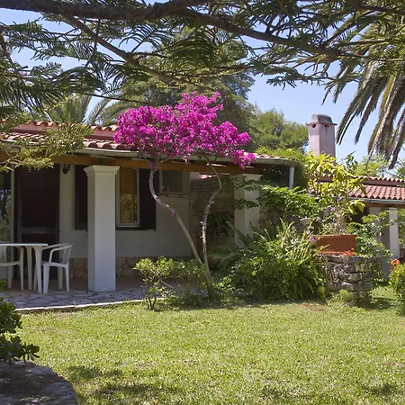 Marialice Apartament Dassia (Corfu)