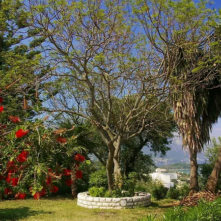 Marialice * Dassia (Corfu)