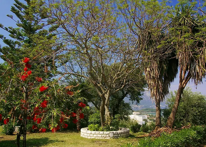 Marialice * Dassia (Corfu)