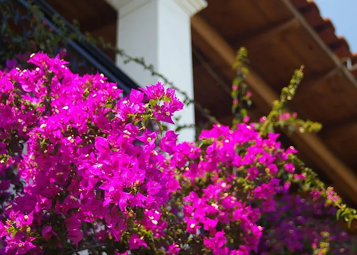 Appartement Marialice